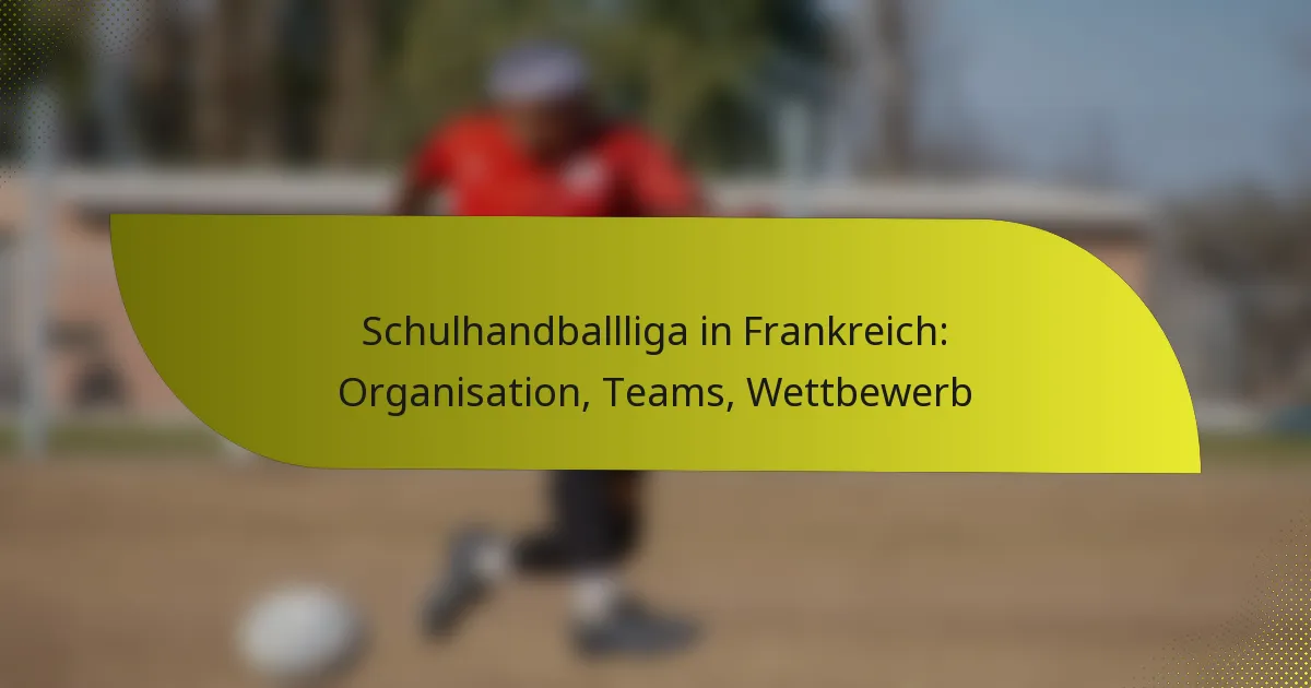 Schulhandballliga in Frankreich: Organisation, Teams, Wettbewerb