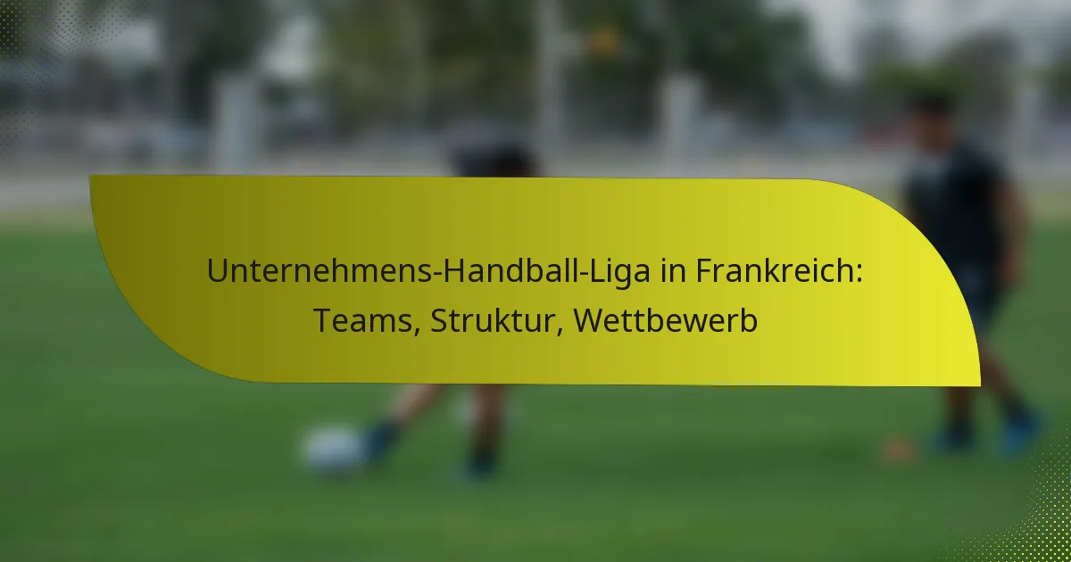 Unternehmens-Handball-Liga in Frankreich: Teams, Struktur, Wettbewerb