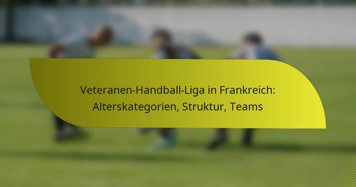 Veteranen-Handball-Liga in Frankreich: Alterskategorien, Struktur, Teams