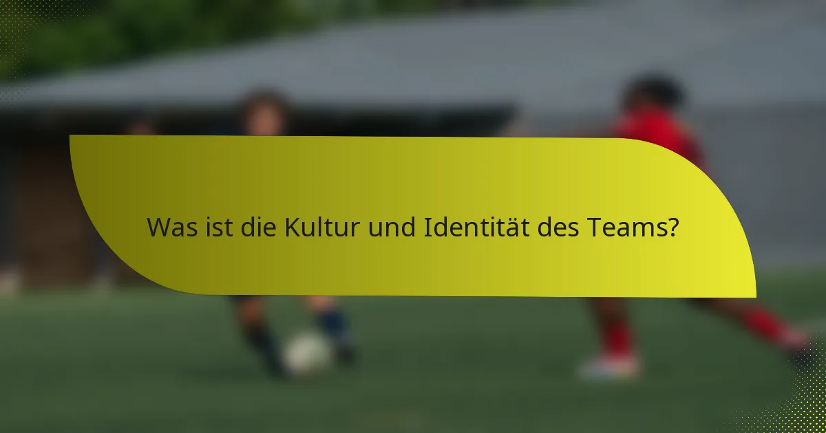 Was ist die Kultur und Identität des Teams?
