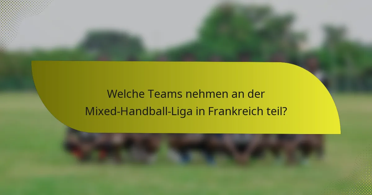 Welche Teams nehmen an der Mixed-Handball-Liga in Frankreich teil?