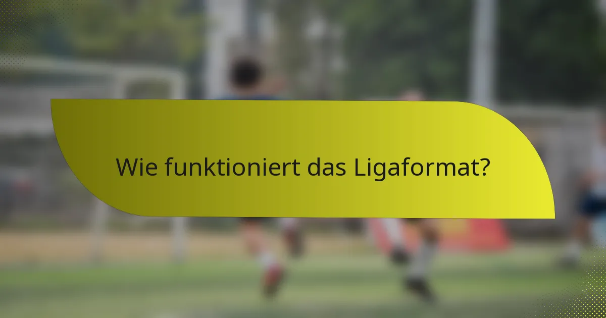 Wie funktioniert das Ligaformat?