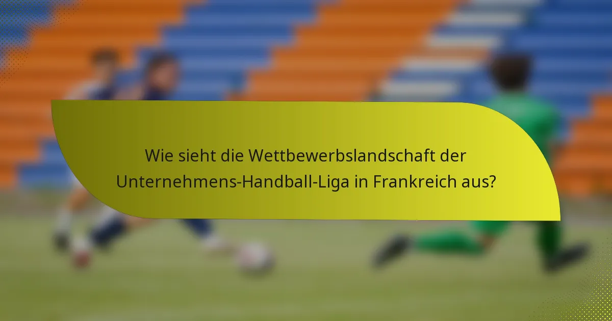 Wie sieht die Wettbewerbslandschaft der Unternehmens-Handball-Liga in Frankreich aus?