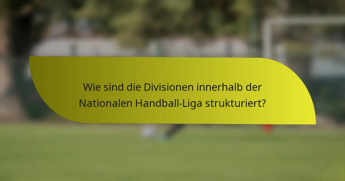 Wie sind die Divisionen innerhalb der Nationalen Handball-Liga strukturiert?